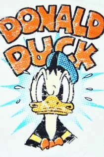 سریال دونالد اردک Donald Duck