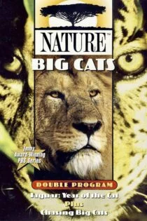 مستند یک هفته با گربه‌سانان Chasing Big Cats