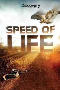 سریال شکار و بقا Speed of Life