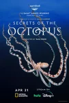 سریال رازهای اختاپوس Secrets of the Octopus