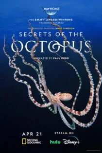 سریال رازهای اختاپوس Secrets of the Octopus