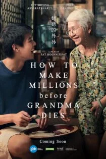 فیلم چطور قبل از مرگ مادربزرگ میلیونر شویم How to Make Millions Before Grandma Dies 2024