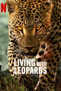 فیلم Living with Leopards 2024 زیبای زندگی با پلنگ ها